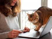 https://www.lemediasocial-emploi.fr/media/cache/articles_thumbnail/uploads/images/articles-small/6231bb083133a_GettyImages-1331999554 - Copie.jpg